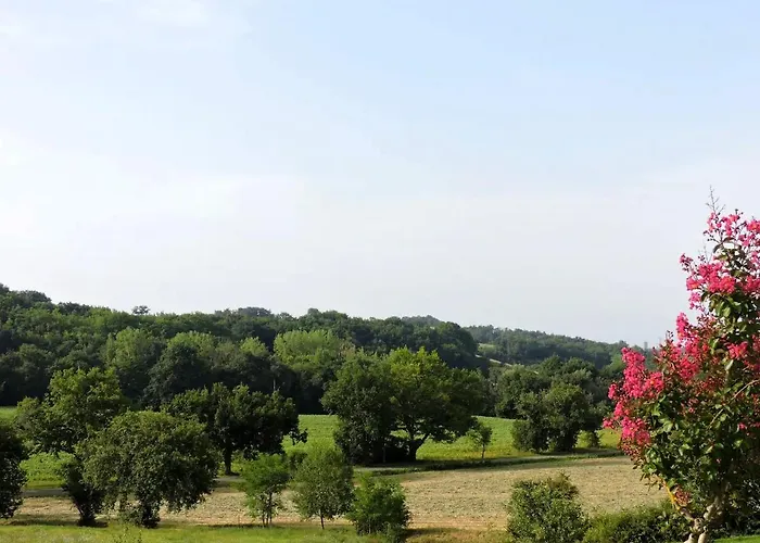 Cedre - Les De Barruerot - Jacuzzi Privatif Peyrusse-Grande